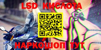 прущие грибы Аргун